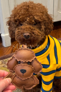 HILAW NA POODLE TEDDY