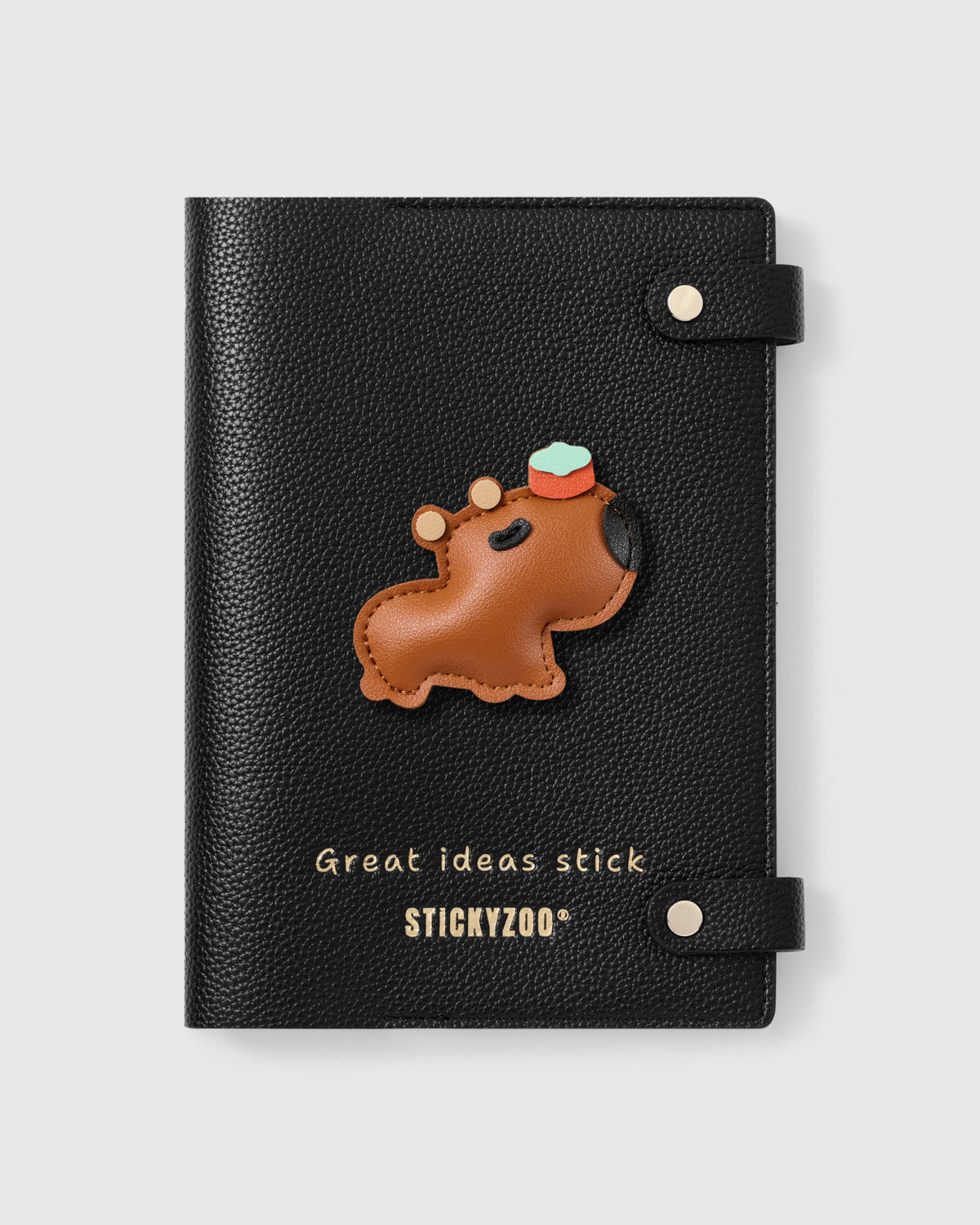 CAPYBARA NA NOTEBOOK