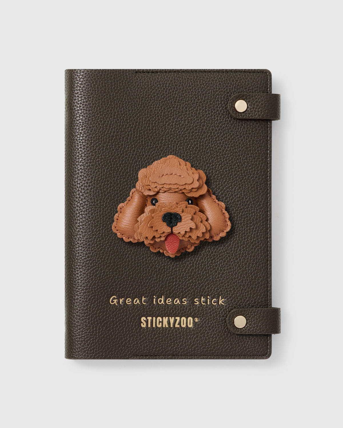 POODLE NA NOTEBOOK