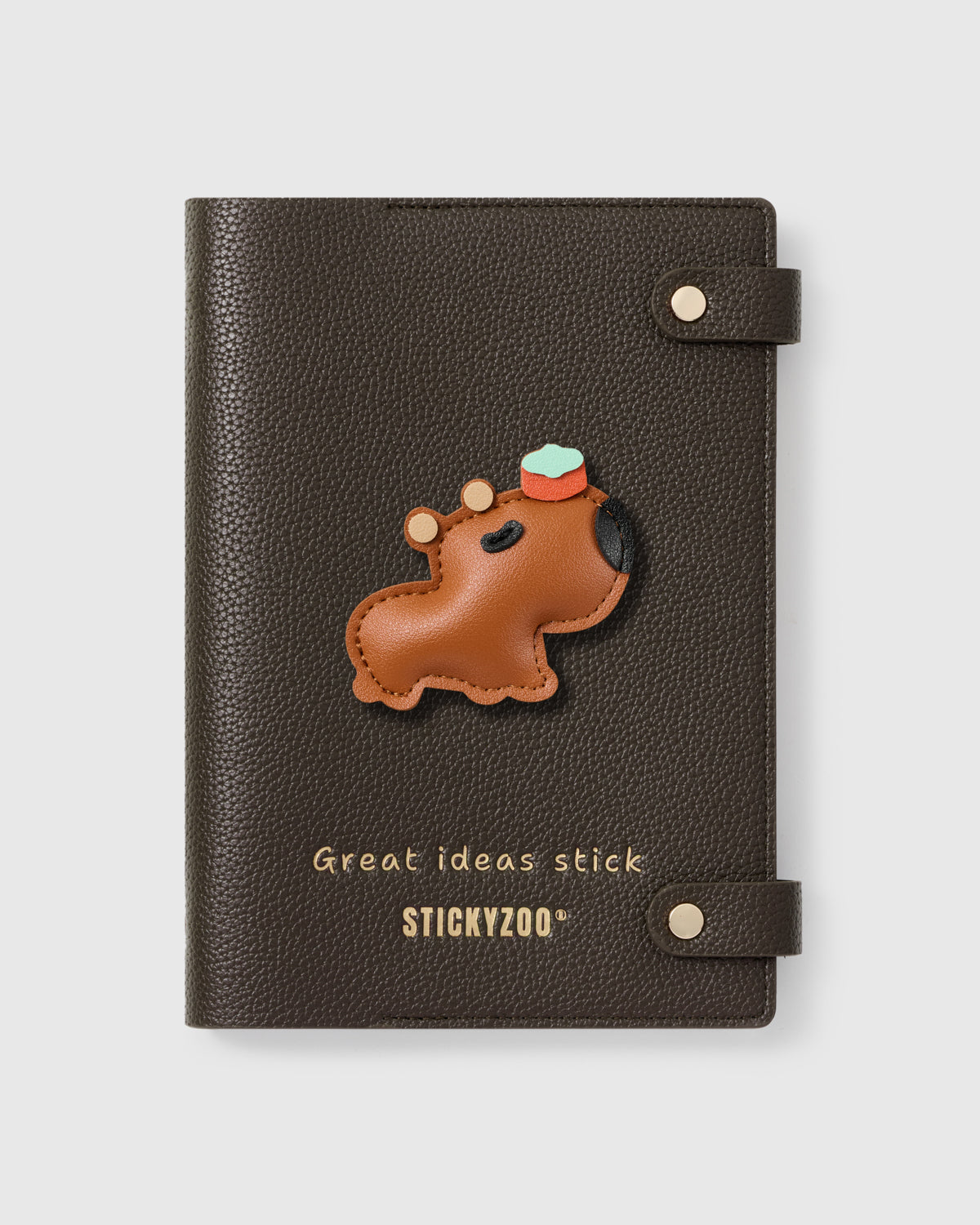 CAPYBARA NA NOTEBOOK