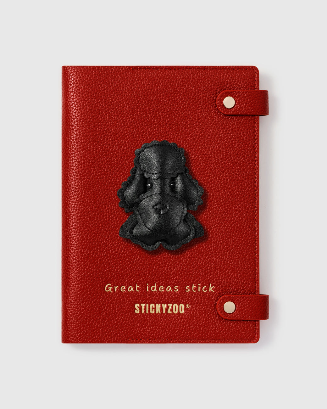 POODLE NA NOTEBOOK