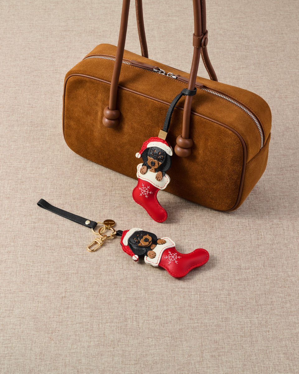 SANTA DACHSHUND NA STOCKING