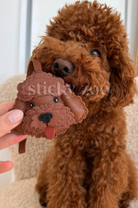 HILAW NA POODLE