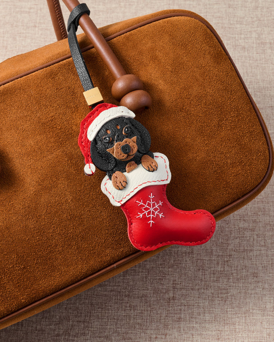 SANTA DACHSHUND NA STOCKING