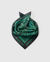EMERALD DOTWORK NA SILK SCARF