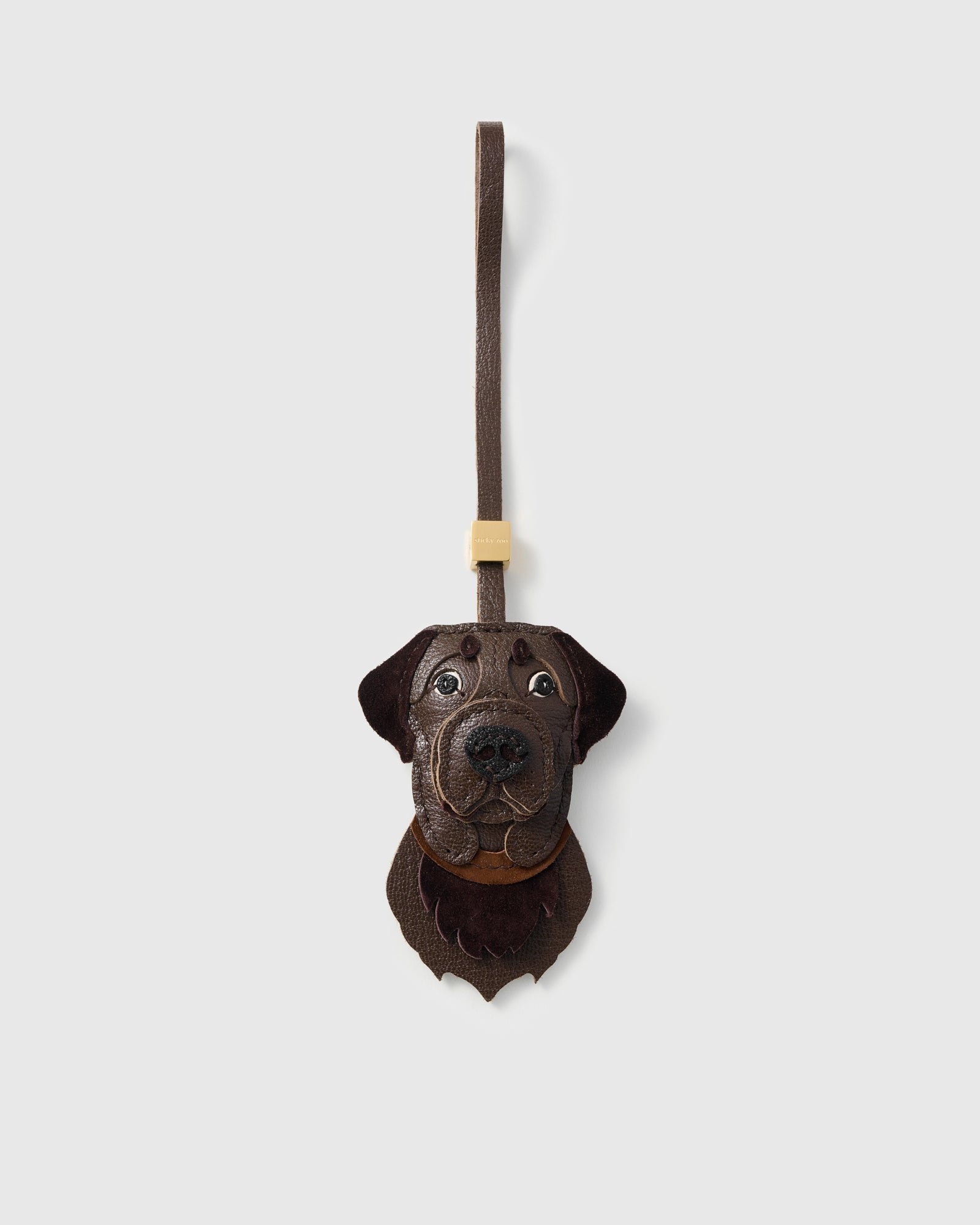 LABRADOR RETRIEVER NA PALAMUT