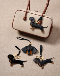 CHARM NG LONG DASH DACHSHUND