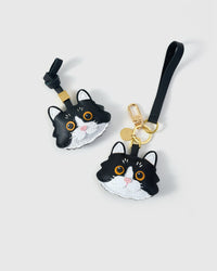 EUROPEAN SHORTHAIR NA PUSA NA CHARM