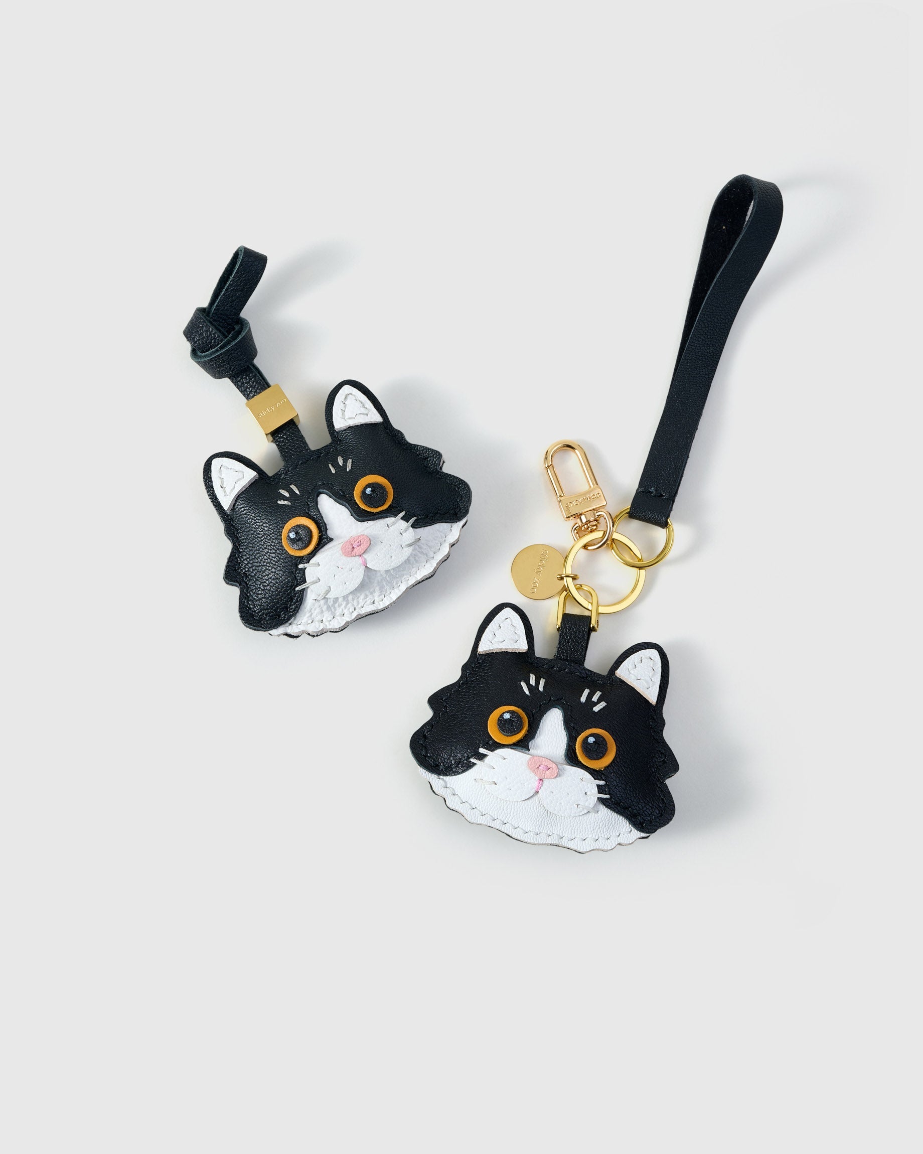 EUROPEAN SHORTHAIR NA PUSA NA CHARM