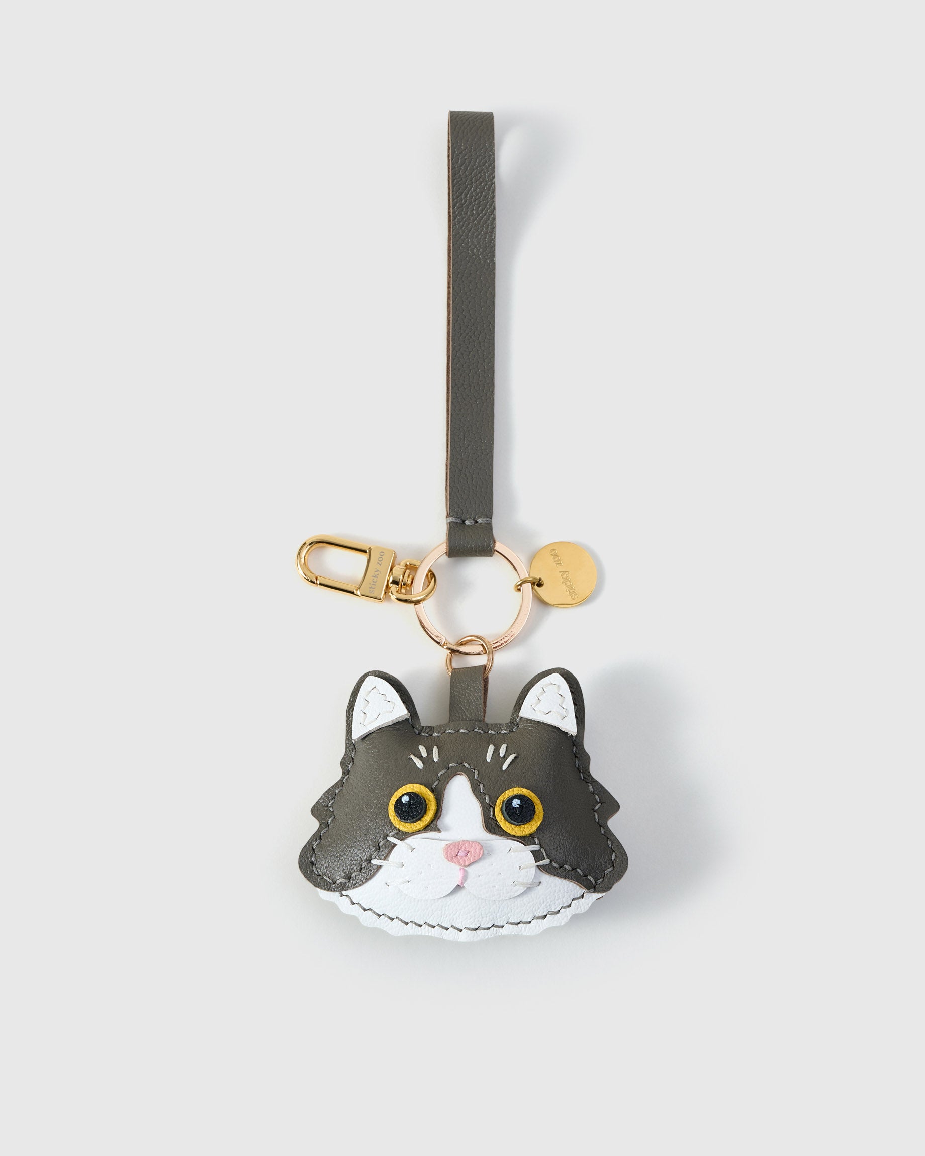 EUROPEAN SHORTHAIR NA PUSA NA CHARM