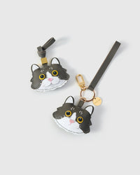 EUROPEAN SHORTHAIR NA PUSA NA CHARM