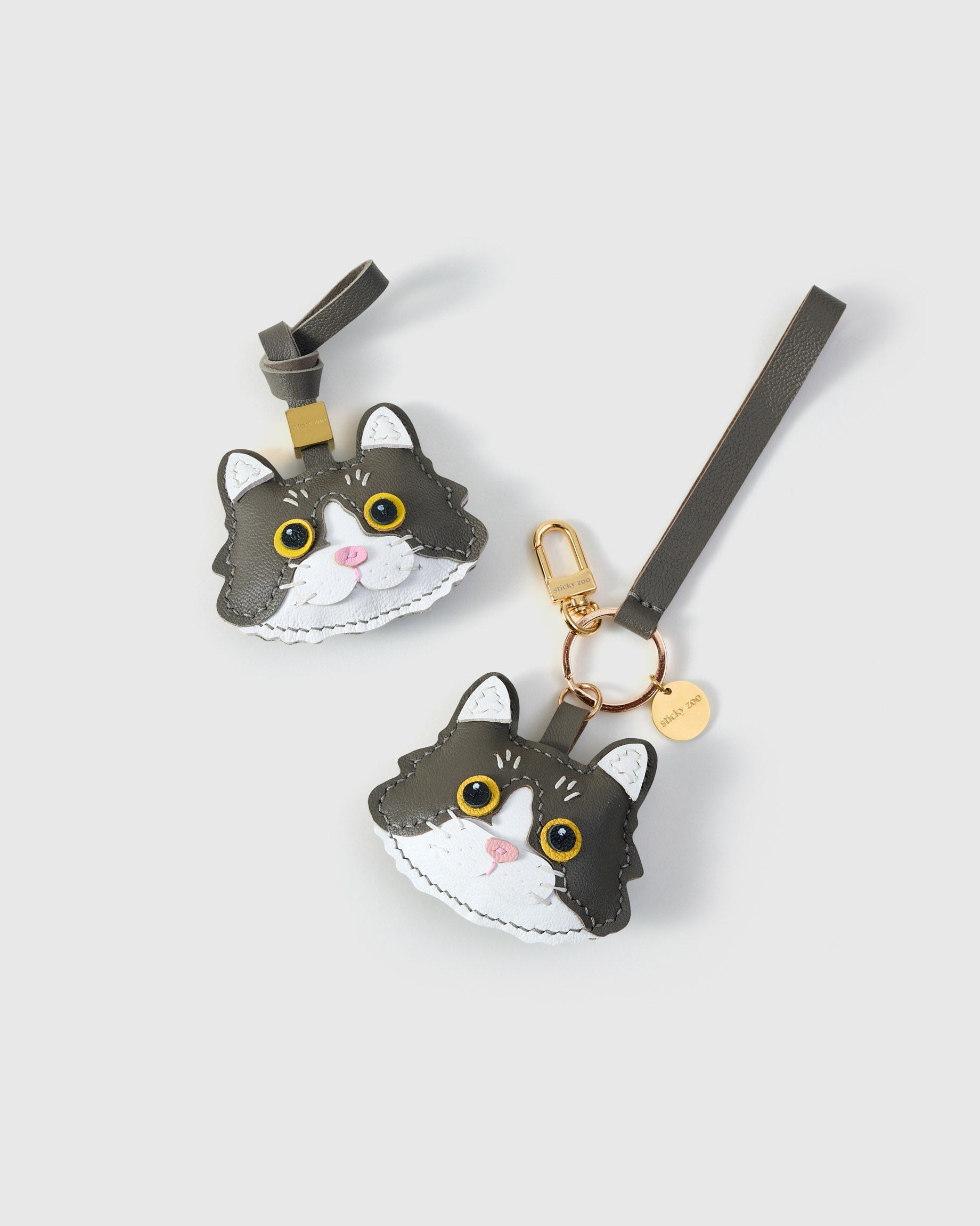EUROPEAN SHORTHAIR NA PUSA NA CHARM