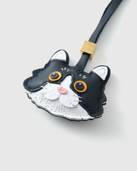 EUROPEAN SHORTHAIR NA PUSA NA CHARM