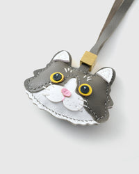 EUROPEAN SHORTHAIR NA PUSA NA CHARM
