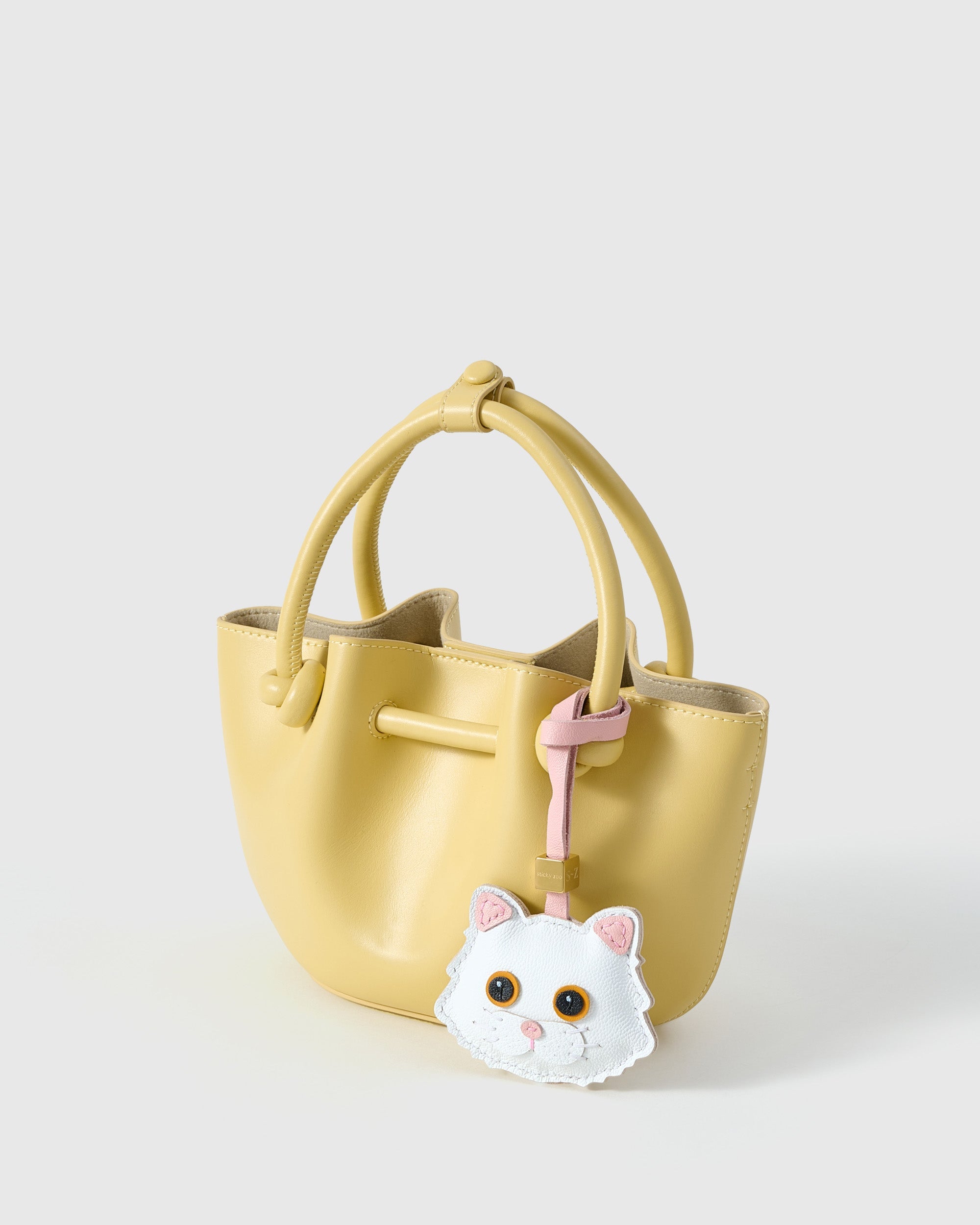 CHARM NG MAINE COON NA PUSA