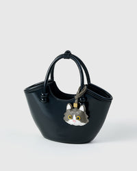 EUROPEAN SHORTHAIR NA PUSA NA CHARM