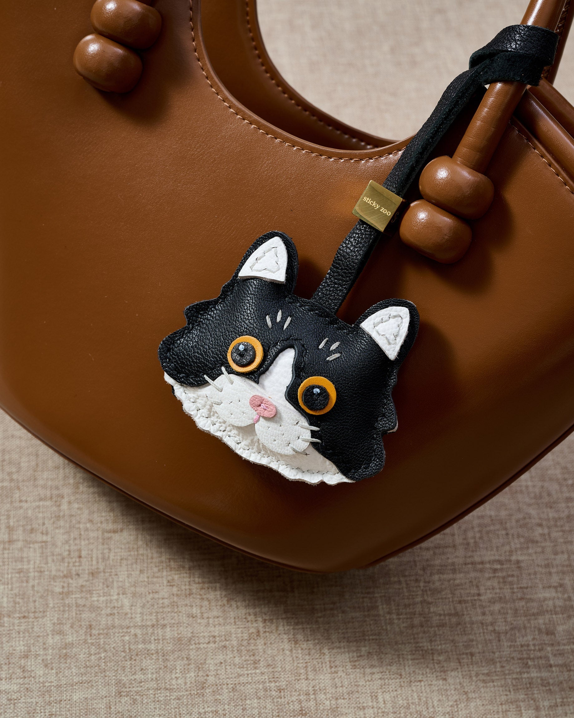 EUROPEAN SHORTHAIR NA PUSA NA CHARM