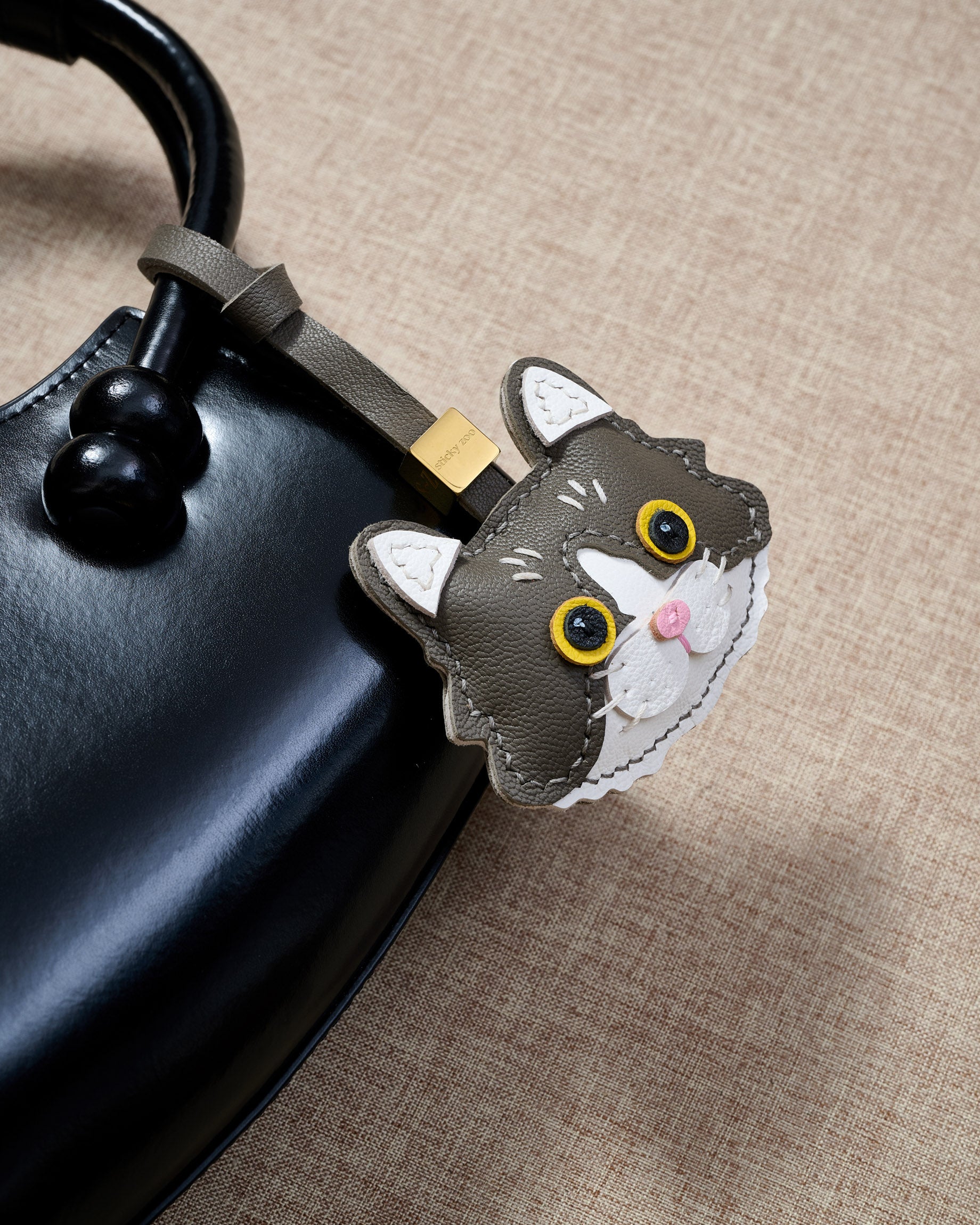 EUROPEAN SHORTHAIR NA PUSA NA CHARM