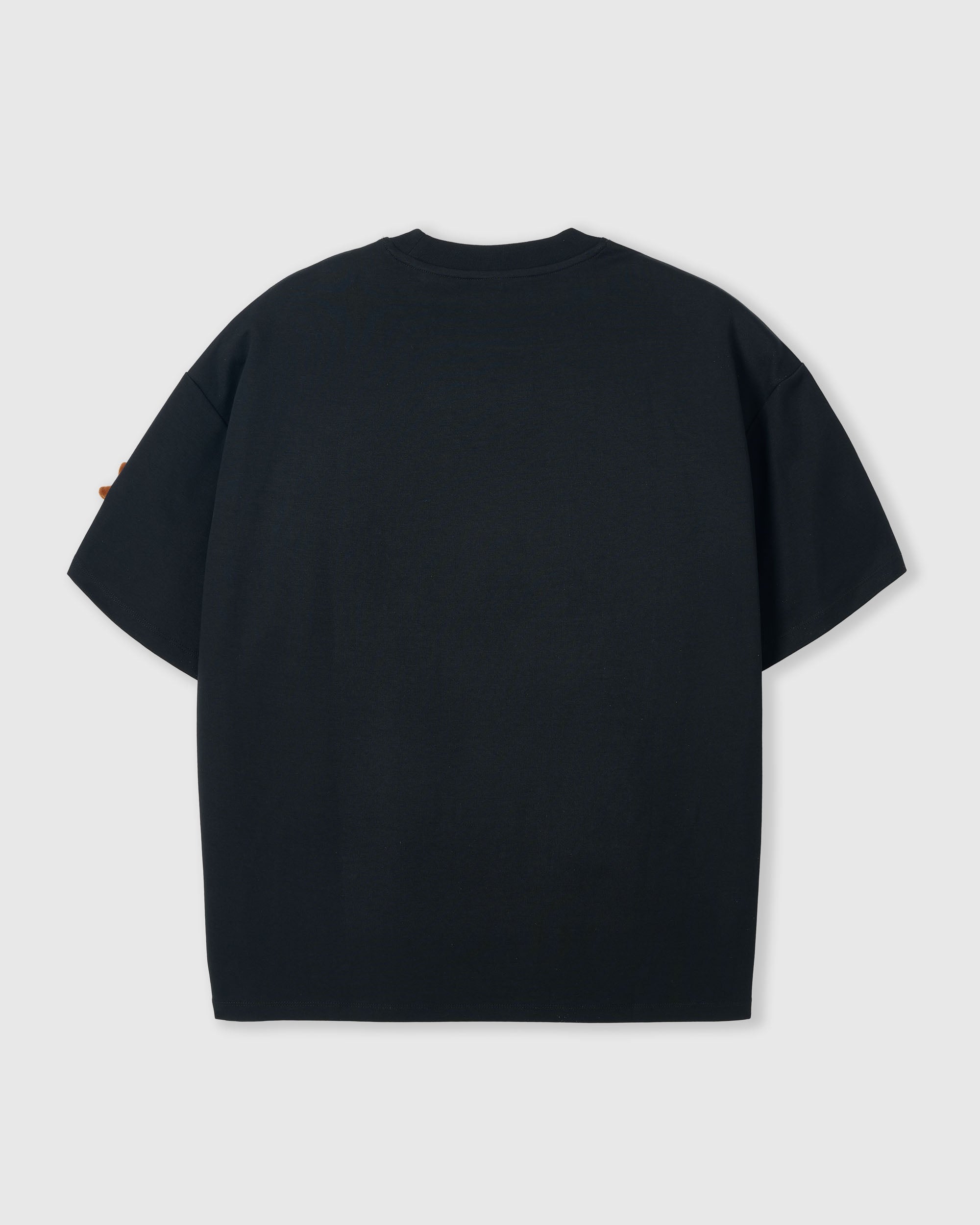 DACHSHUND PARADE NA T-SHIRT