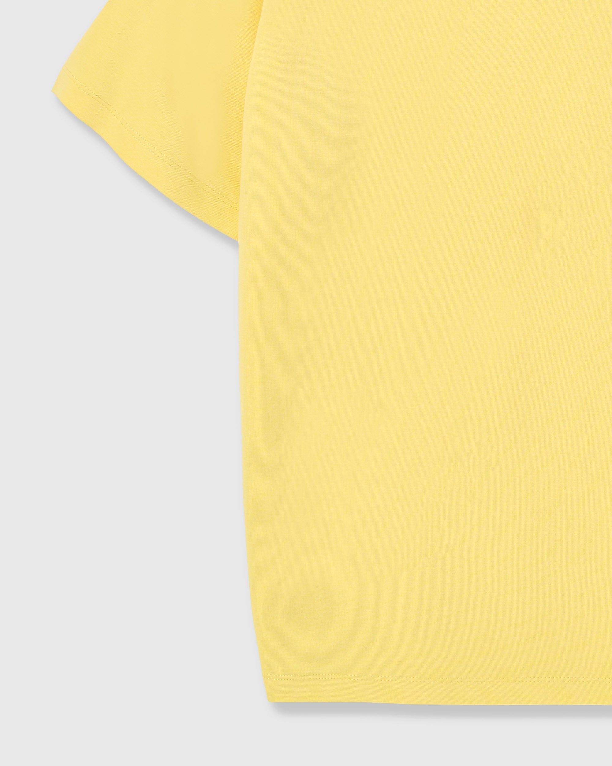DASH DACHSHUND NA T-SHIRT
