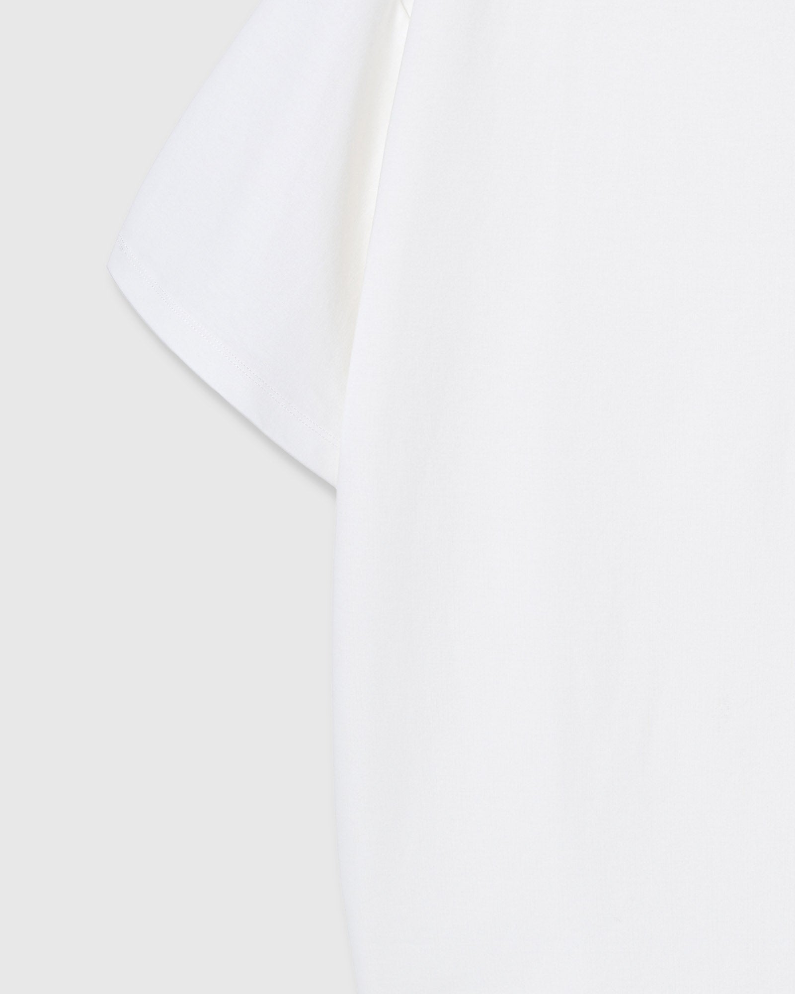 WELL-DRESSED FROG T-SHIRT — PUTI