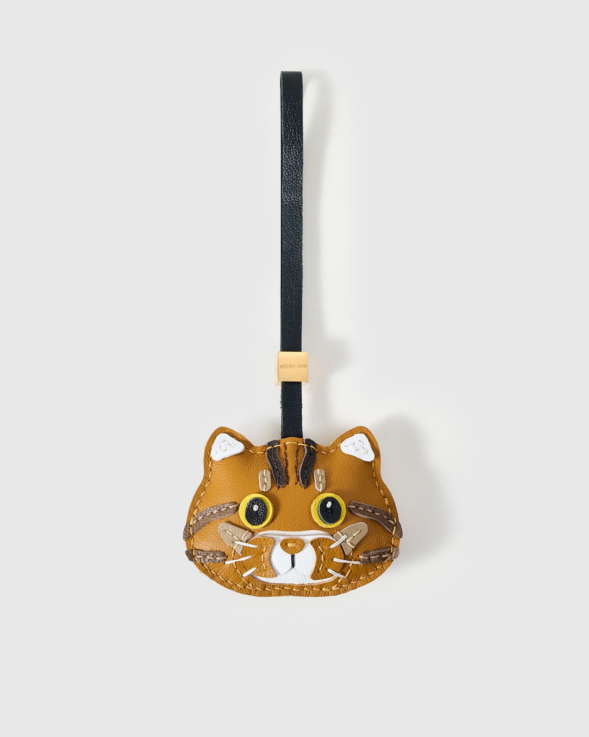 PALAMUTI NG PUSA NA GINGER TABBY
