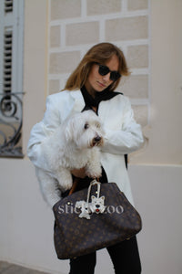 HILAW NG POODLE PUPPY