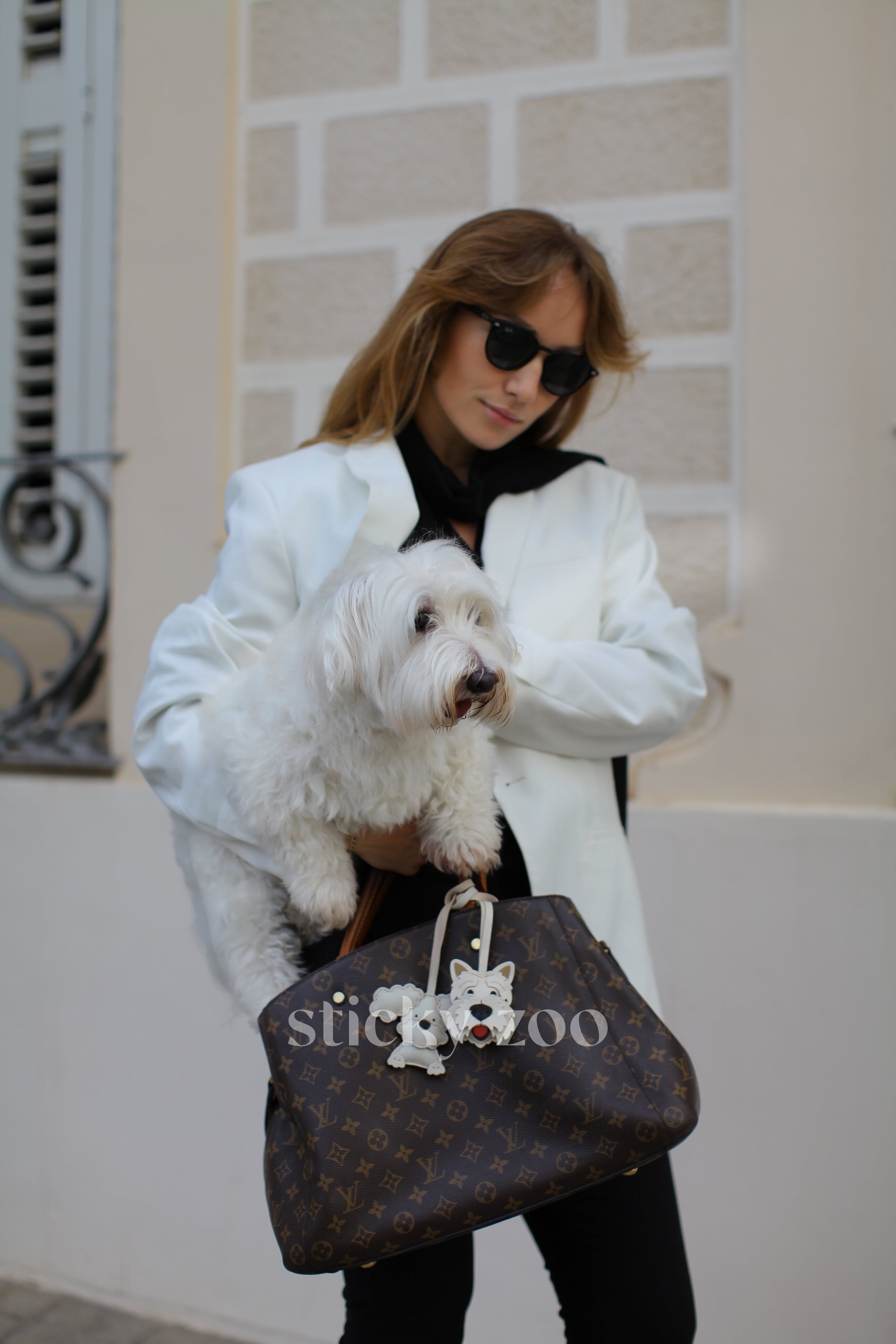 HILAW NG POODLE PUPPY