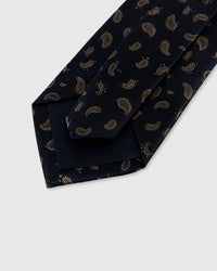 NOIR SCATTERED PAISLEY TIE