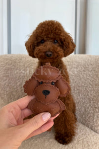 HILAW NA POODLE TEDDY