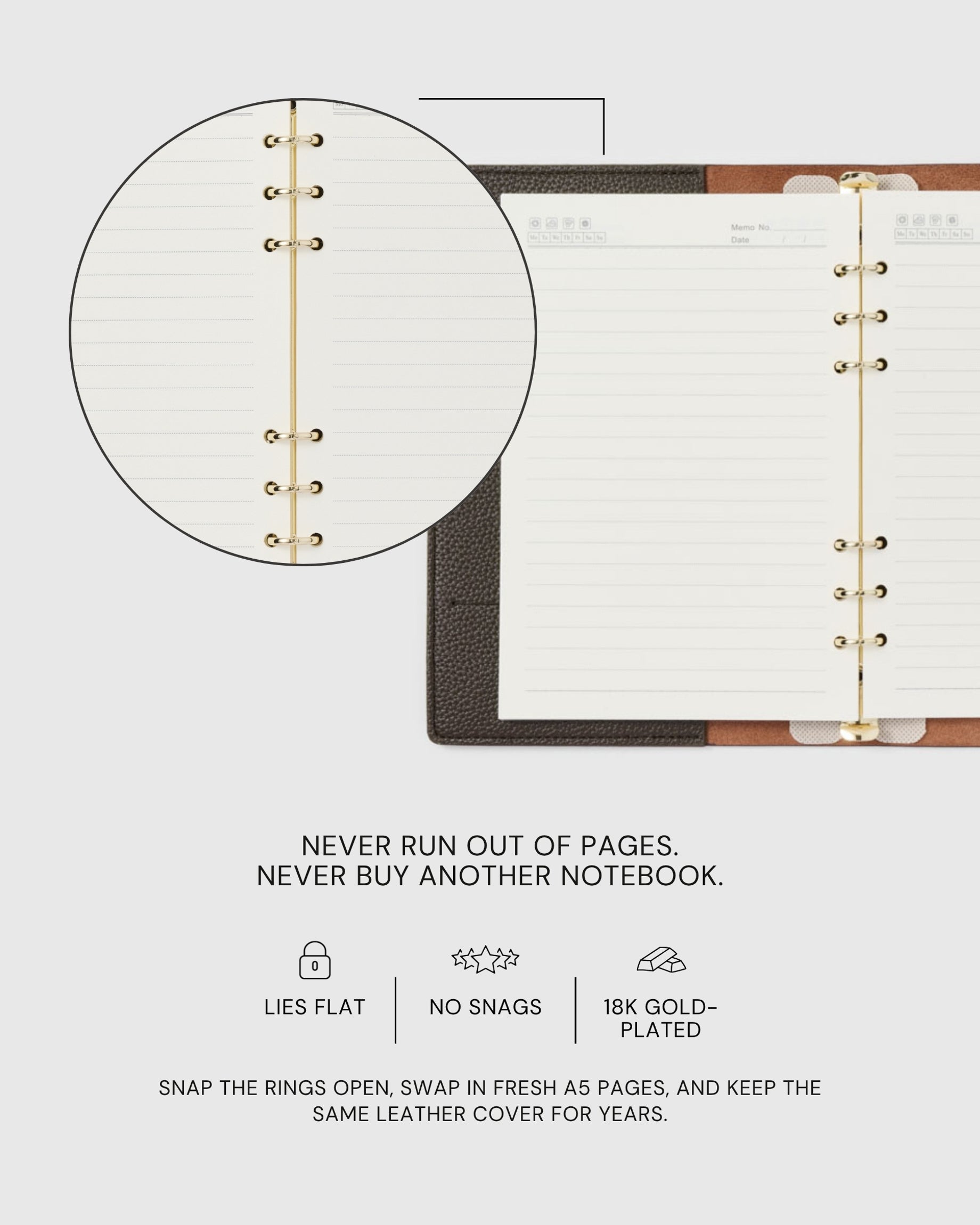 LABRADOR NA NOTEBOOK