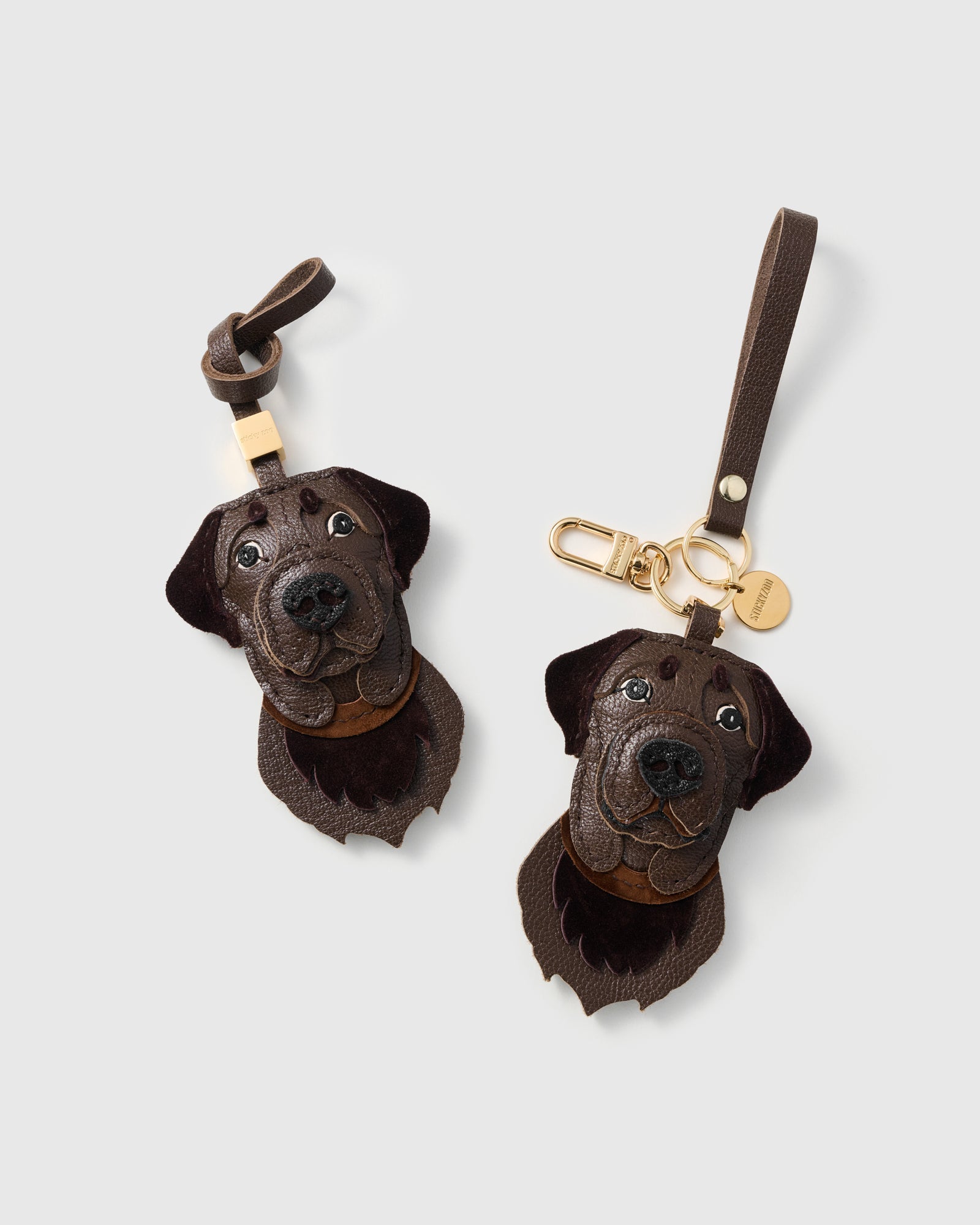 LABRADOR RETRIEVER NA PALAMUT