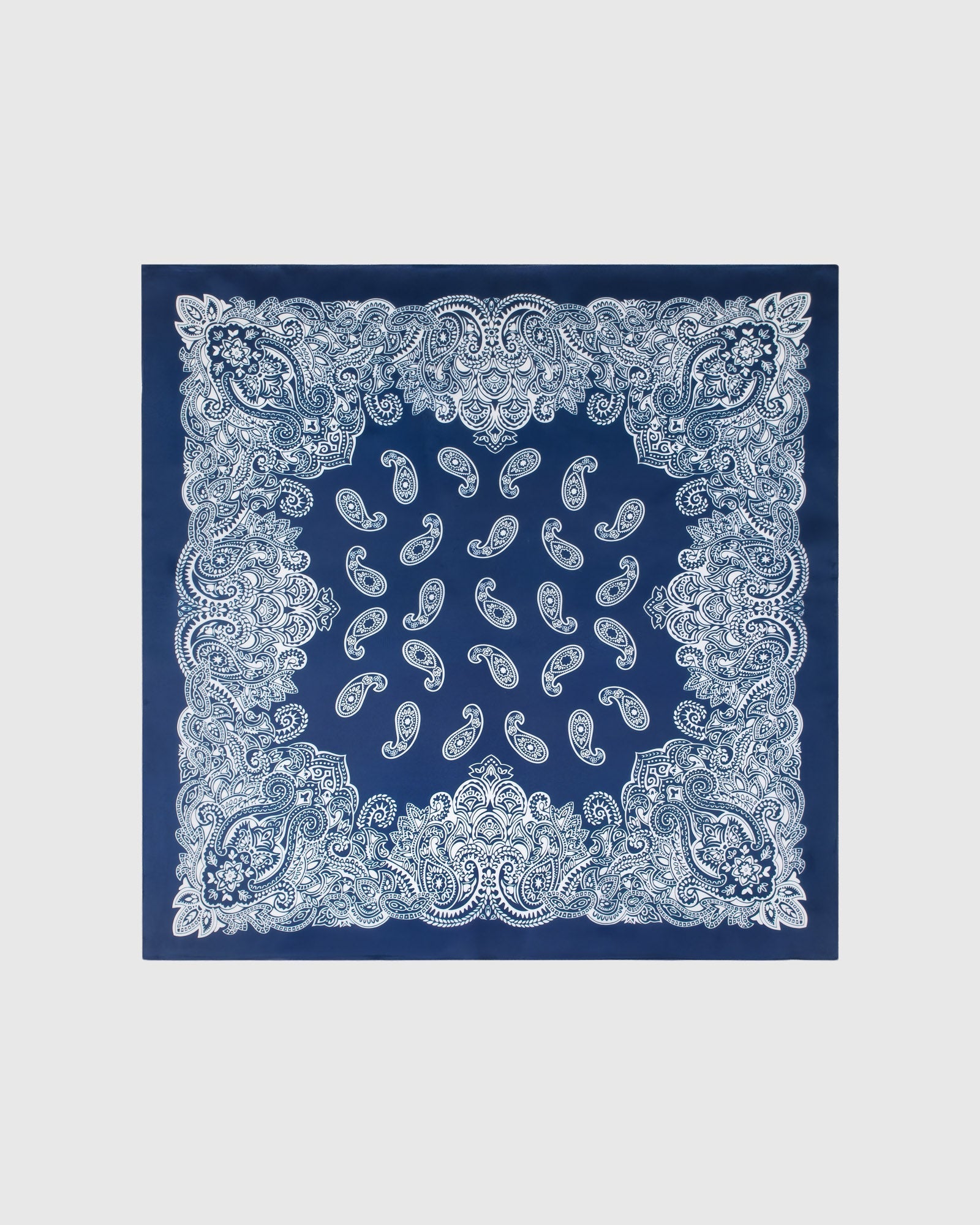 PORCELAIN PAISLEY NA SILK SCARF