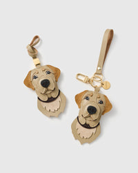LABRADOR RETRIEVER NA PALAMUT