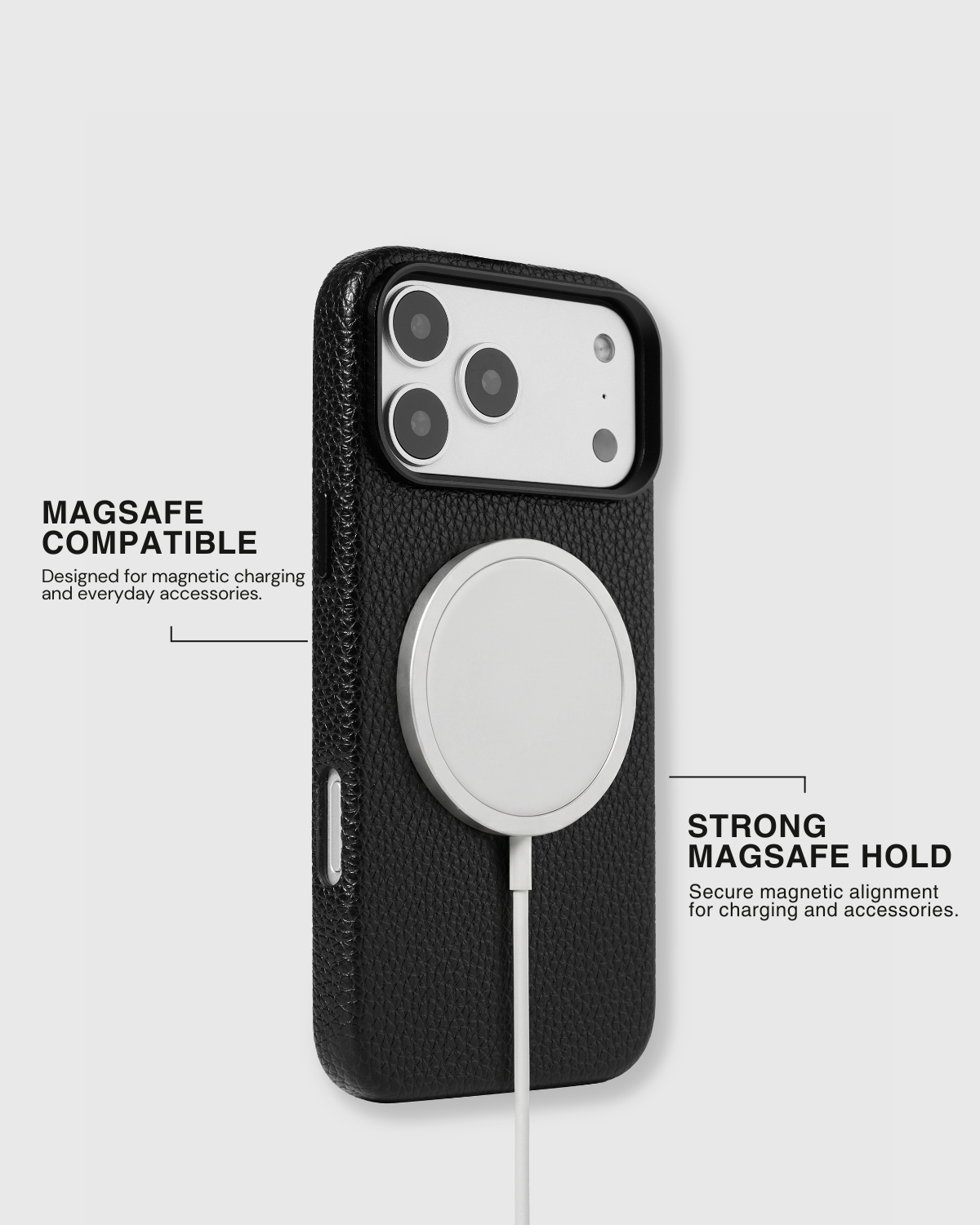 CASE NG CHARM NG POODLE PUPPY