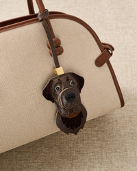 LABRADOR RETRIEVER NA PALAMUT