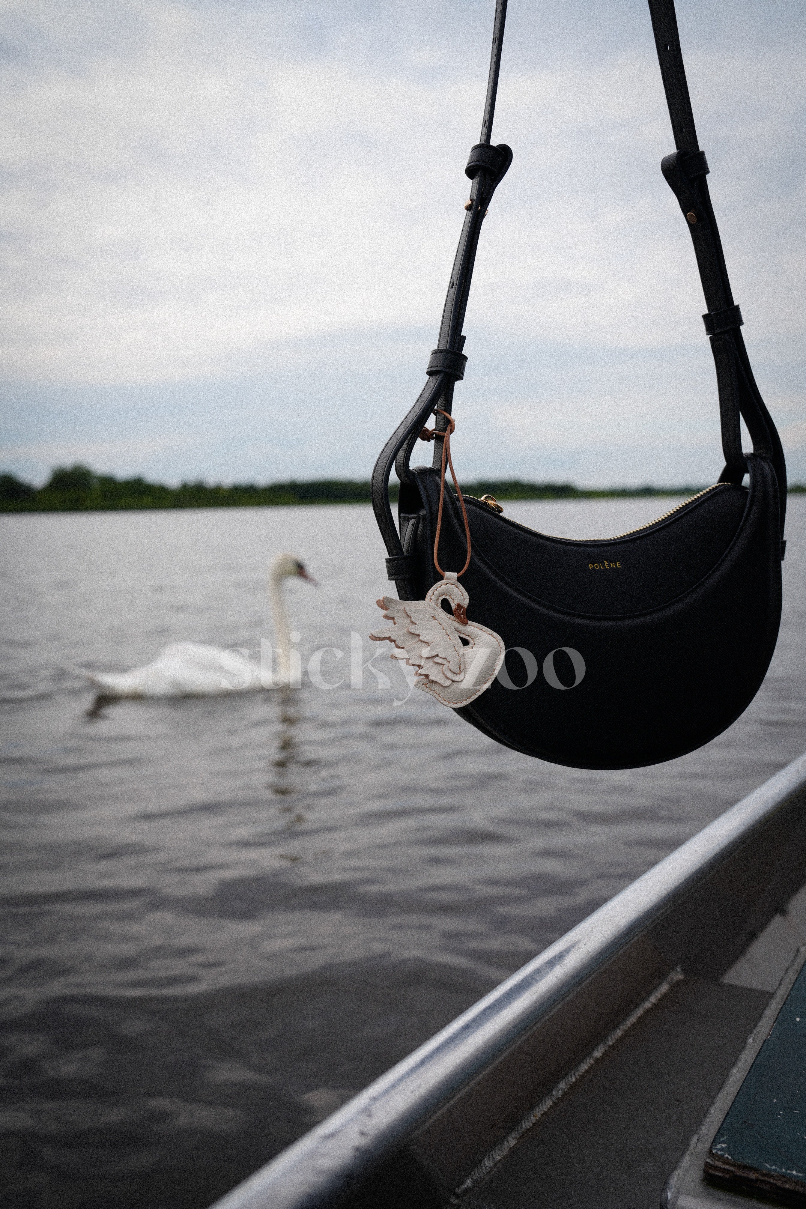 HILAW NG SWAN